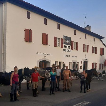 Ferme Auberge Ibarnia Lecumberry Bagian luar foto